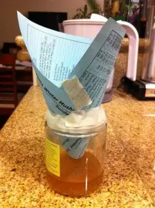 Homemade fly trap