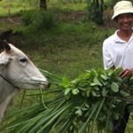 Heifer International