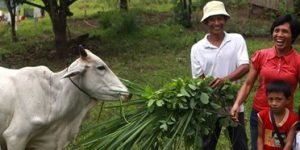 Heifer International