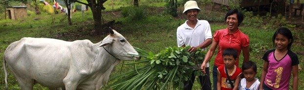 Heifer International