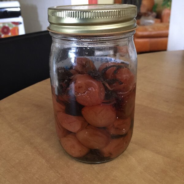 Umeboshi (Japanese Pickled Plums) Fermenters Club