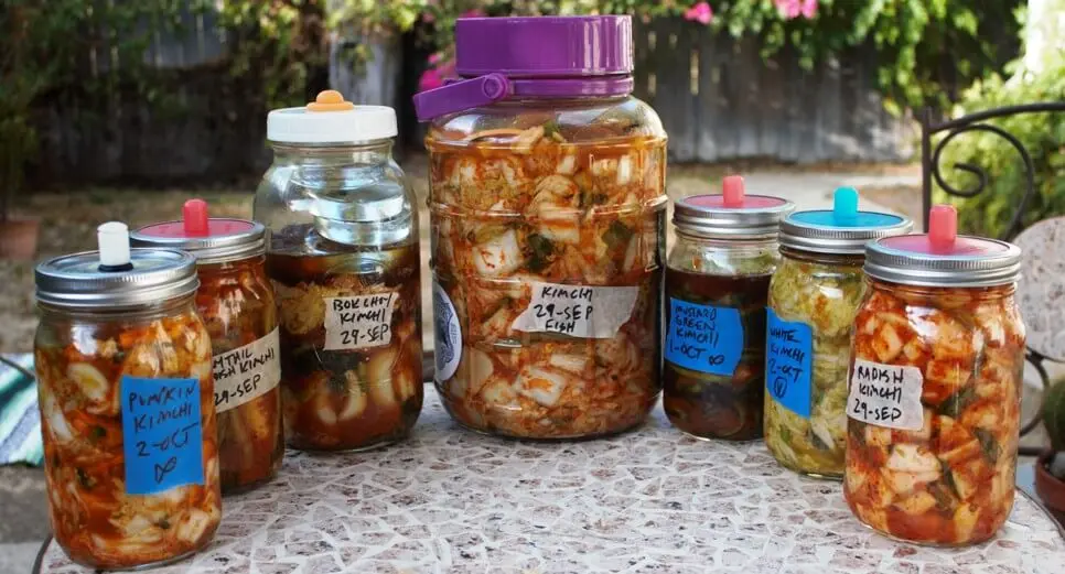 [San Diego, Calif.] Summer Kimchi Workshop | Sat. July 18, 2026 - Image 2