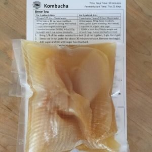 Kombucha SCOBY (U.S. and Canada)