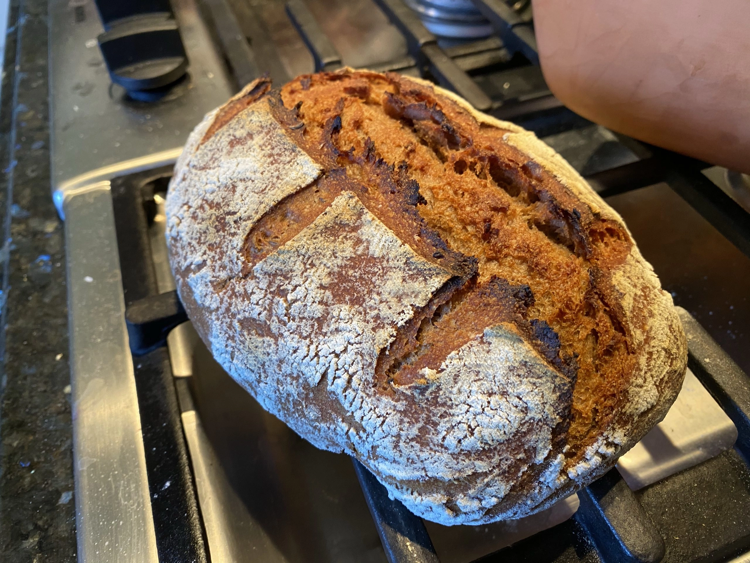 [San Diego, Calif.] Sourdough Bread Hands-on Workshop - Image 5