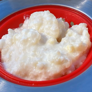 Milk Kefir Culture ("Grains")