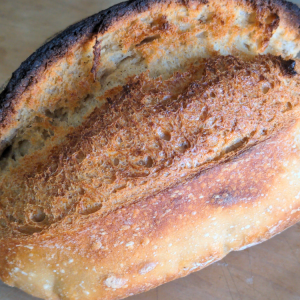 [San Diego, Calif.] Sourdough Bread Hands-on Workshop | Sat. Feb. 14, 2026