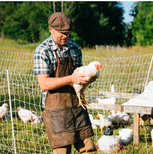Homesteading: School of Traditional Skills - Image 2