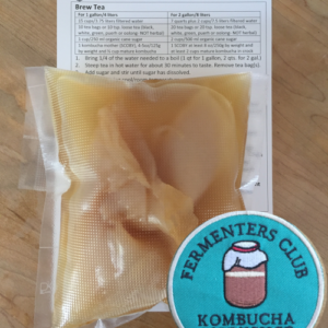 Kombucha Master Class [Self-Paced] with SCOBY